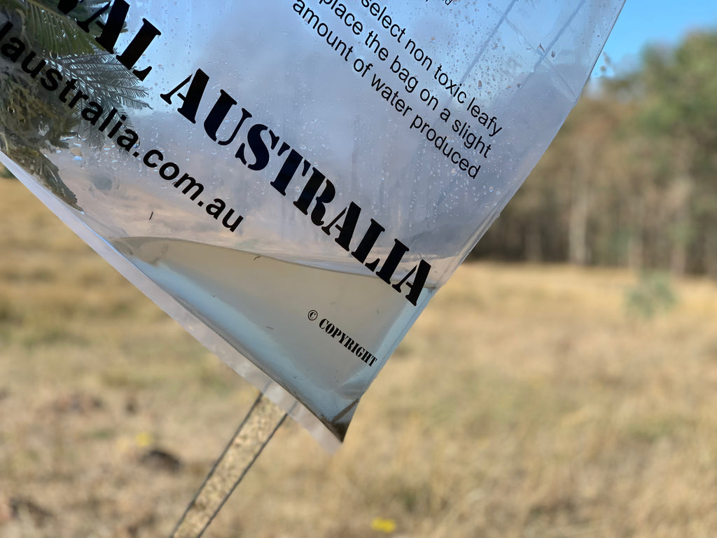 BSA Transpiration Bag