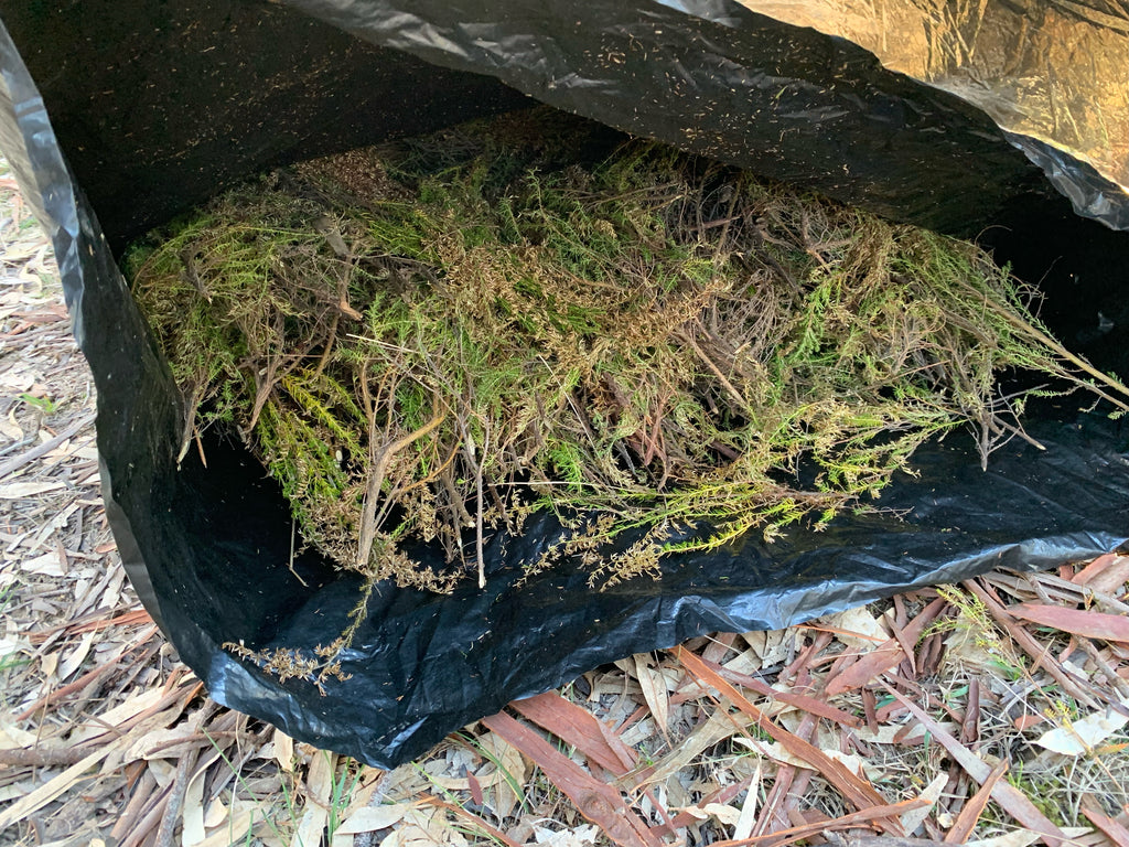 BSA Survival Bag