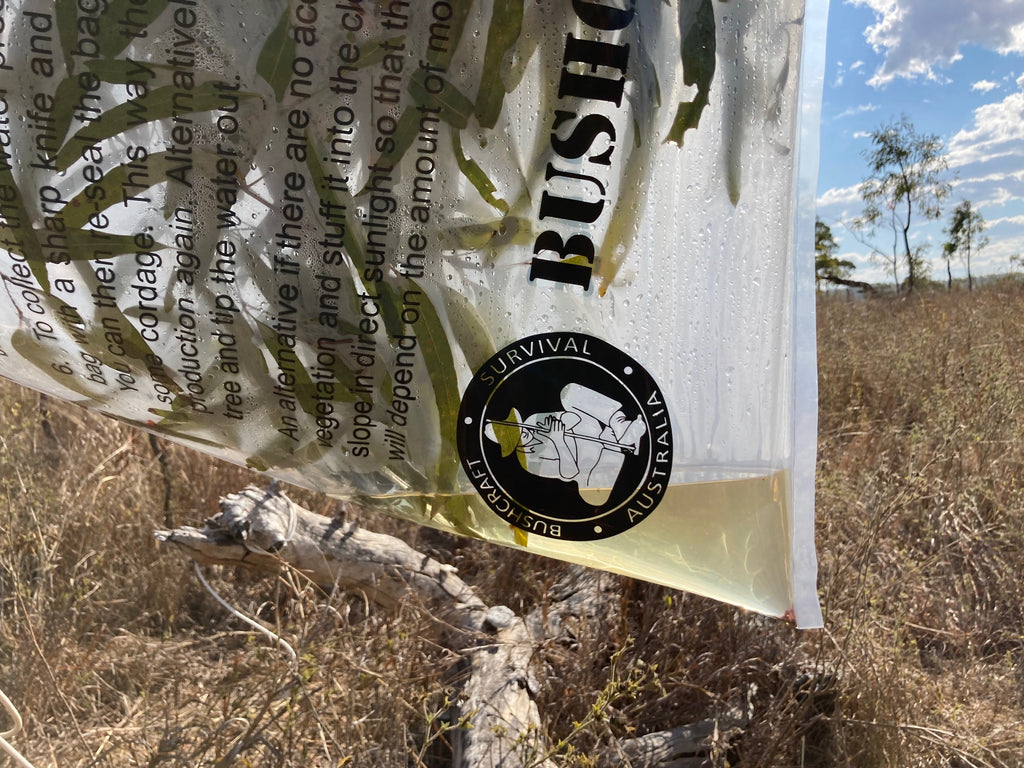 BSA Transpiration Bag